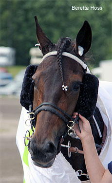Beretta Hoss