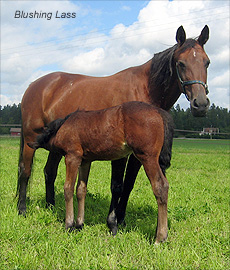 Blushing Lass ja Saturnus Hoss