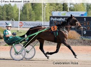 Celebration Hoss - kuva Taru Peltosaari
