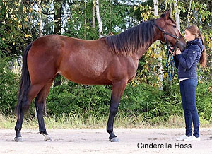 Cinderella Hoss