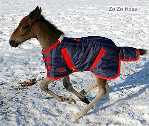 Zo Zo Hoss