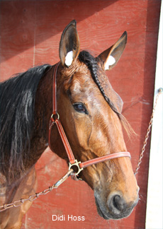 Didi Hoss