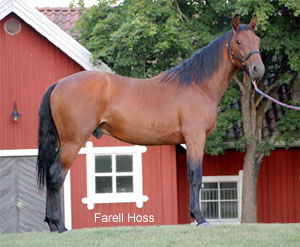Farell Hoss