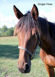 Ginger Hoss