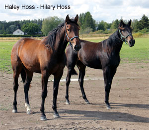 Haley Hoss - Hilary Hoss