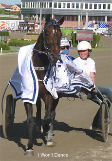 I Won't Dance