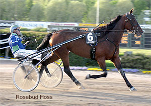 Rosebud Hoss