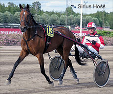 Sirius Hoss