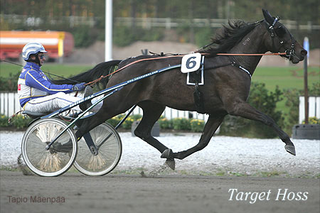 Derbyvinnaren Target Hoss