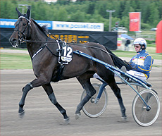 Suur-Hollolan tammal�ht�