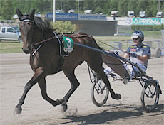 L�mmitys Suur-Hollolaan