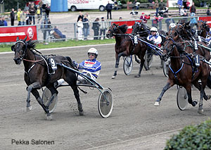 SM - kuva Hippola/Pekka Salonen