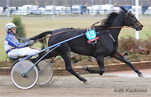 St.Leger - kuva Antti Kaskinen