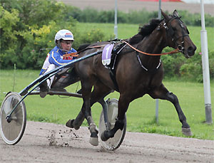 Suur-Hollolan loppuratkaisu