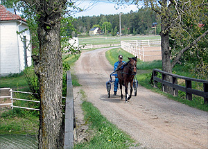 Ajo-opetuksessa Rosemary Hoss