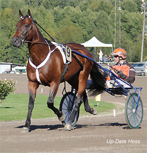 Up-Date Hoss