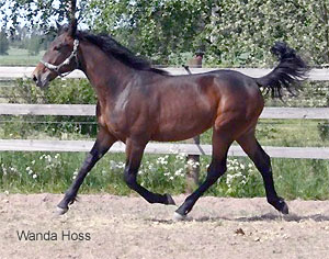 Wanda Hoss