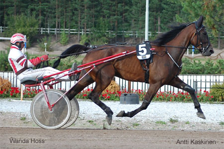 Wanda Hoss - kuva Antti Kaskinen