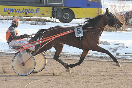 Xanadu Hoss - Tommi Kylliäinen