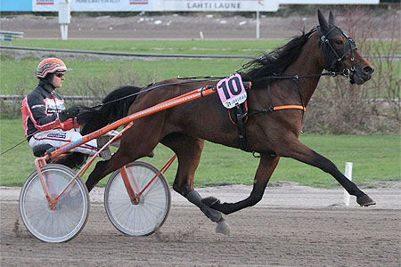 Xanadu Hoss - Tommi Kylli�inen