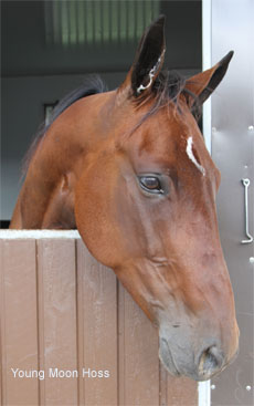 Young Moon Hoss