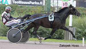 Zatopek Hoss