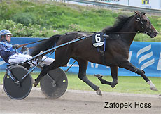 Zatopek Hoss