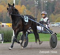 Zatopek Hoss